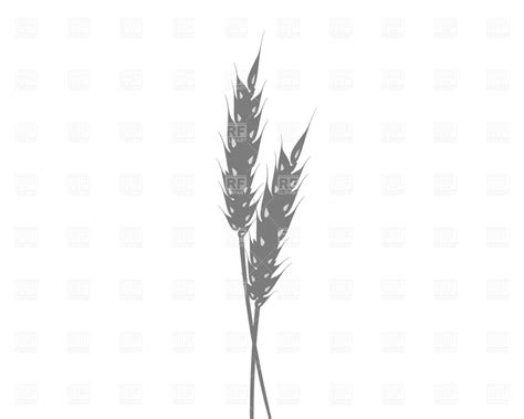 Wheat Silhouette Vector at Vectorified.com | Collection of Wheat ...