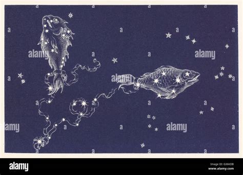 Fish Constellation Hi Res Stock Photography And Images Alamy