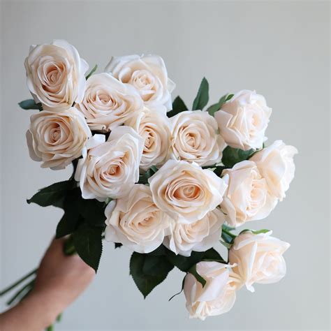 Nude Roses Etsy New Zealand