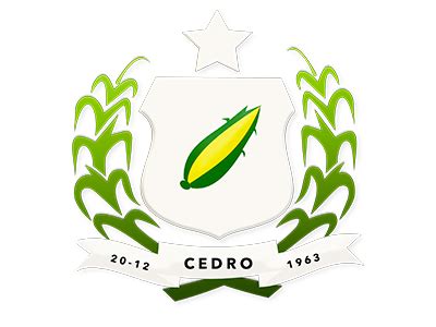 Bandeira Bras O E Hino De Cedro Pe S Mbolos Municipais