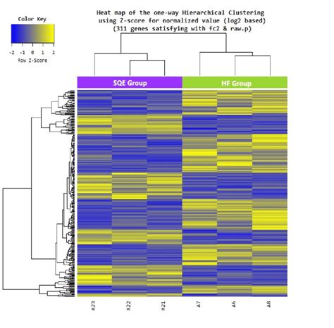 Heat Map Of The One Way Hierarchical Clustering Using The Z Score For