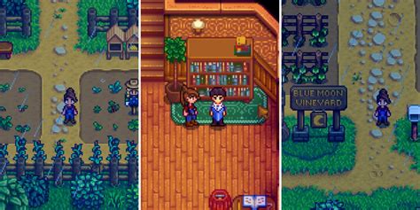 Stardew Valley Expanded New Recipes