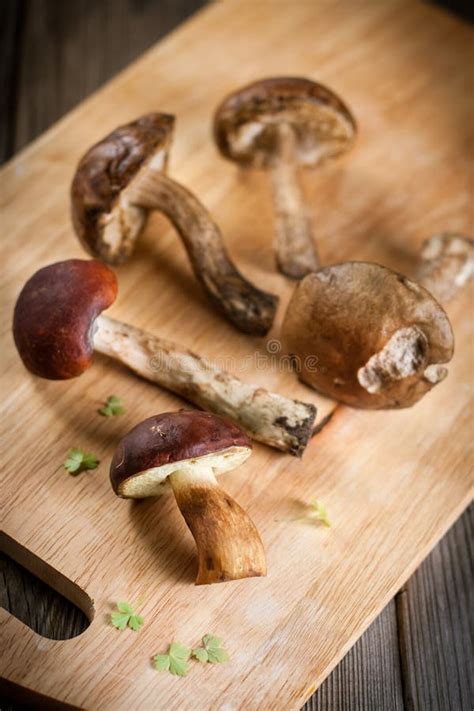 Brown Cap Boletus Mushrooms Stock Photo Image Of Eatable Plant 33922586