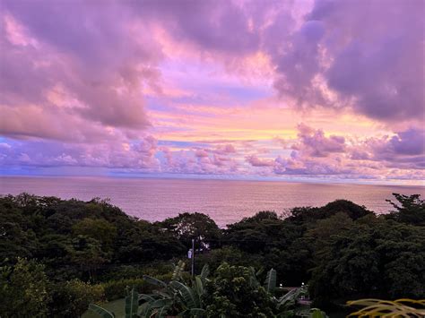 Journalists explain the lasting impact of Nicole Leblanc 23