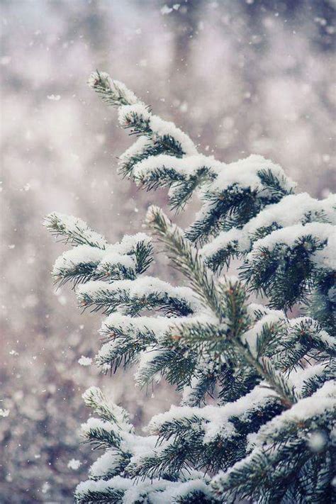 PROFILI-RACCONTI DI DONNA - DORA - Lacasadi Lalla