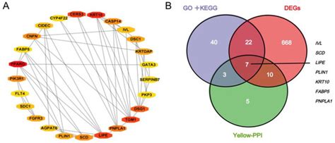 IJMS Free Full Text Transcriptomics And Selection Pressure Analysis