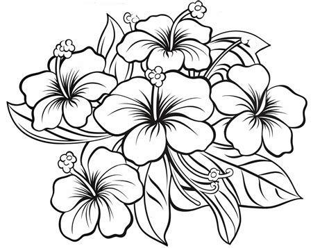 Discover Peace Through Hawaiian Blooms - Coloring Page