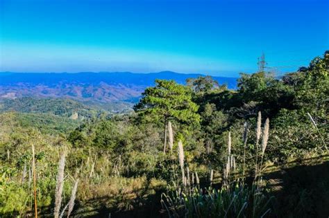 Free Images Forest Mountains Panoramic Tourism Clouds Pangmapha