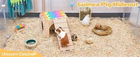 Guinea Pig Hideout Guinea Pig House With Stairs And Mats