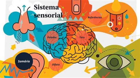 Sistema Sensorial Desenho