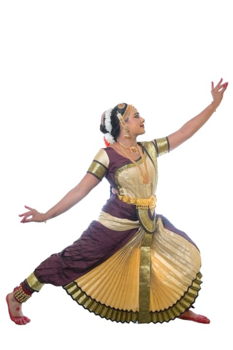 Bharatanatyam Costume Fully Stitched| Coffee and Golden Brocade (28)