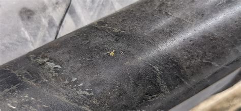 Photo Gallery | Gold Terra Resource Corp.