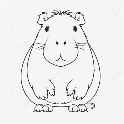 Cute Guinea Pig Coloring Pages Vector, Basic Simple Cute Cartoon ...