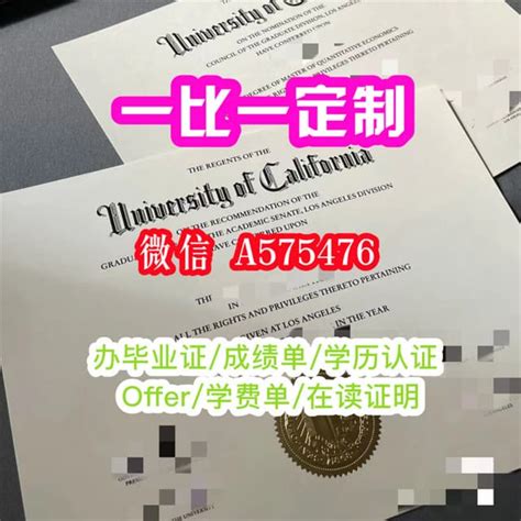 一比一原版加拿大温尼伯大学毕业证（ubc毕业证书）成绩单哪里定购 Pdf