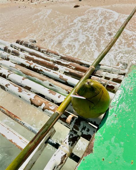 Fifi Sharma | whole lotta life 🌎 | Instagram