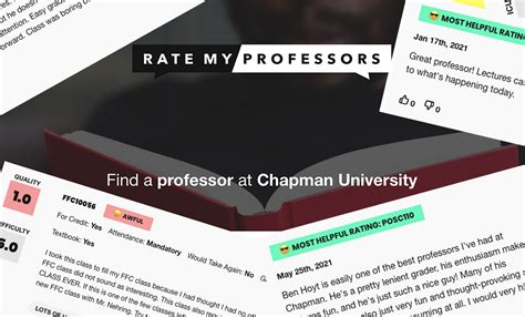 The elephant in the classroom: perspectives on Rate My Professors — The