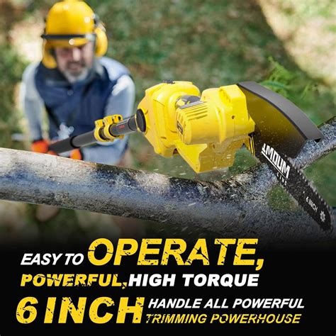 Imoumlive 2 In 1 Cordless Pole Saw And Mini Chainsaw For Tree Trimming Imoum