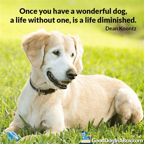 Dog Quotes & Dog Pictures - Share with Your Friends