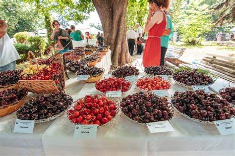 Taste The Tradition: 11 Free Bulgarian Food Festivals
