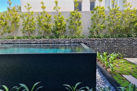 Naked Freshwater Pool Systems Freshwater Pool System Natural Swimming Pool Nkd R System