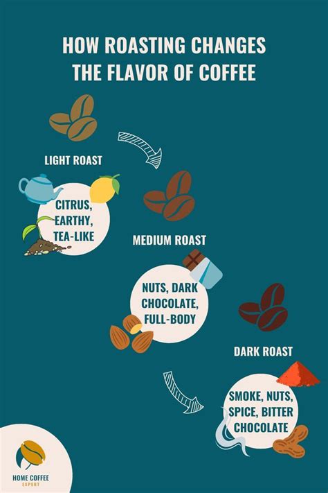 Understanding Coffee Roasts: Light, Medium, and Dark
