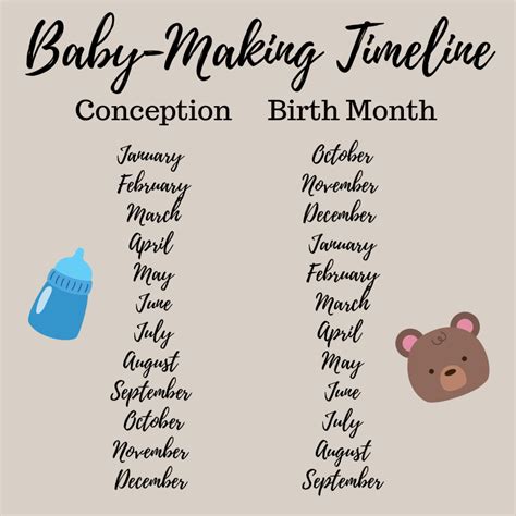 Process Of Conception Timeline