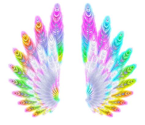 rainbow wings illustration  graphic designing