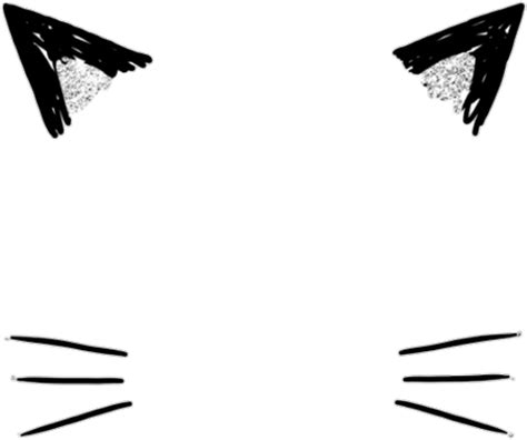 Download Cat Whiskers Png Hd Transparent Png