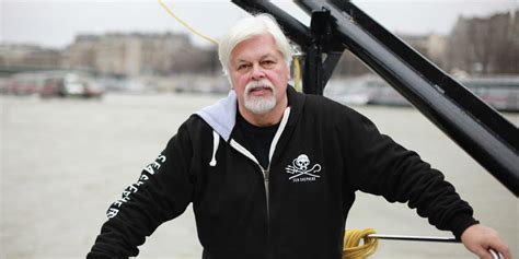 Paul Watson Le Japon Demande Au Groenland L Extradition Du Militant