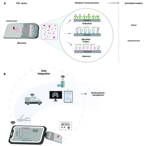 Biomarker Panels To Differentiate Acute Ischemic Stroke From Non IS