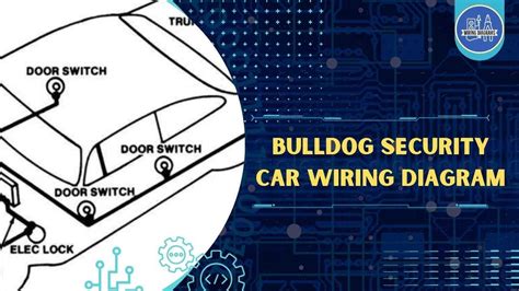 Bulldog Security Wiring Diagrams Guide and Tips
