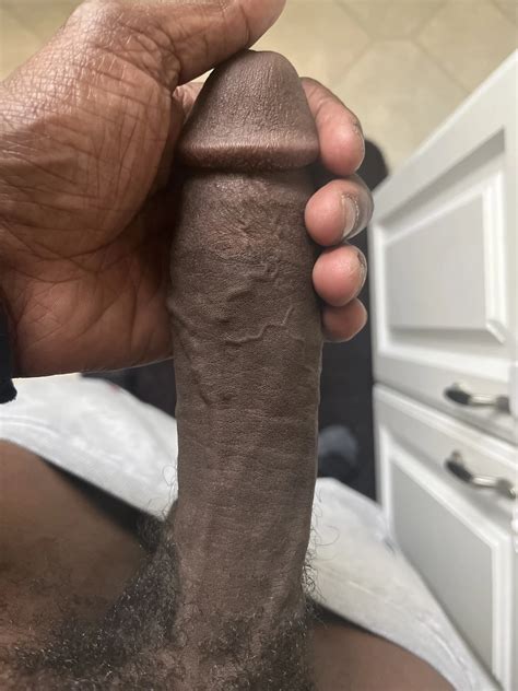 Photos Porno Gay Bite Noire Gratuites Photos De Sexe Rotiques Xhamster