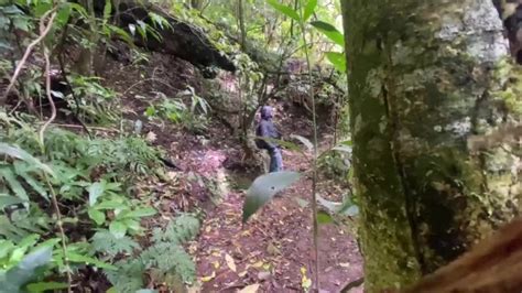 Hiking And Masturbating Pornhub Gay