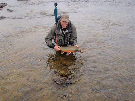 Alaska Fly Fishing Lodge Trip To Alagnak River Alaska