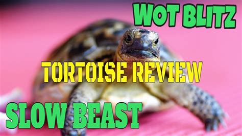 WOT Blitz Slow Beast Tortoise Review YouTube