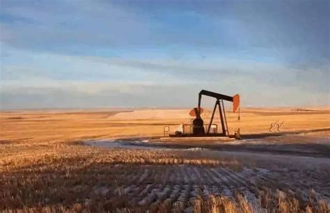 Massive Xinjiang Oil Field Sees Annual Production Over Mln Tonnes