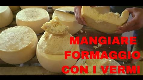 Samuel Assaggia Il Formaggio Coi Vermi Casu Marzu Sardo Samuel Piva