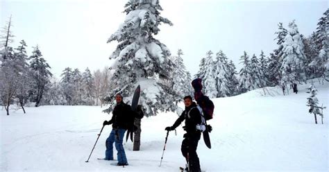 Plan the Perfect Trip: A Comprehensive Hokkaido Winter Itinerary ...