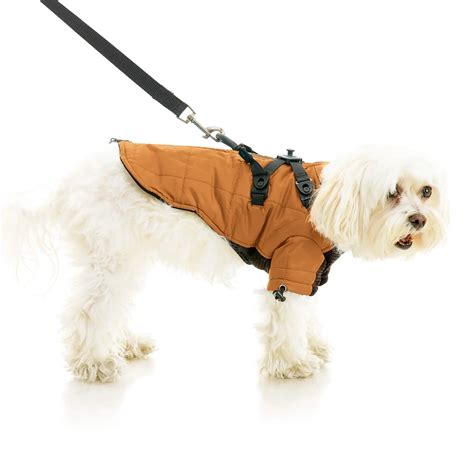 Luxury Pet Accessories Worth Investing In This Year - PAWMART Pet