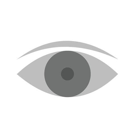 Eye Flat Greyscale Icon 15684844 Vector Art At Vecteezy