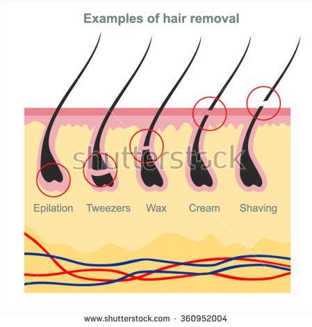 Examples Of Hair Removal Waxing Shaving Tweezers Creams Wax