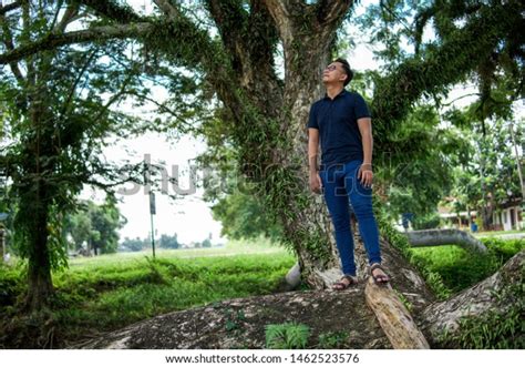 Gunung Jerai Kedah Malaysia July Stock Photo Shutterstock