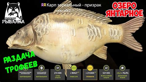 РАЗДАЧА ТРОФЕЙНЫХ КАРПОВ НА ЯНТАРНОМ ОЗЕРЕ В РУССКОЙ РЫБАЛКЕ 4 РР4 ...