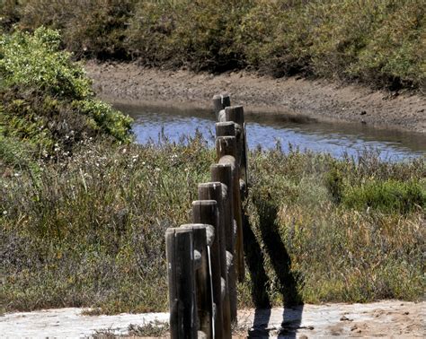 wooden post fence  stock photo public domain pictures