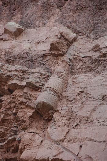 The Joggins Fossil Cliffs In Nova Scotia Are 300 Million Years Old