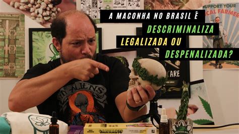 A Maconha No Brasil Descriminalizada Legalizada Ou Despenalizada