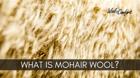 What Mohair Is? Everything you need to know about Mohair - WoolComfort