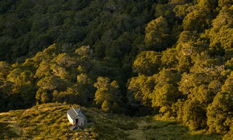 View The Range Of Weathershield Products | Dulux