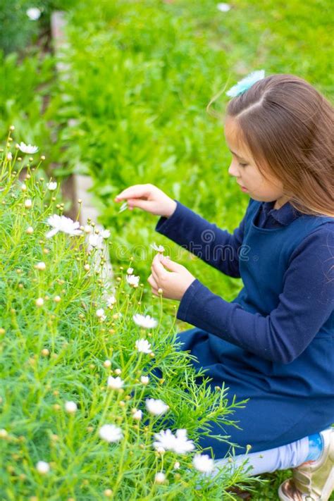 Smiling Little Latina Girl in Garden Picking Flowers Stockbild Bild von nett glücklich