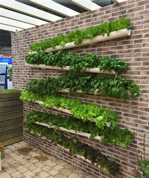 Vertical Vegetable Gardens For Eco Friendly Landscaping